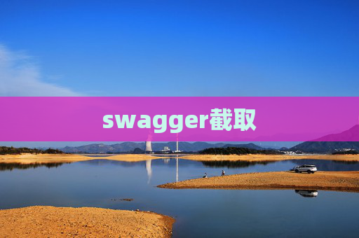 swagger截取